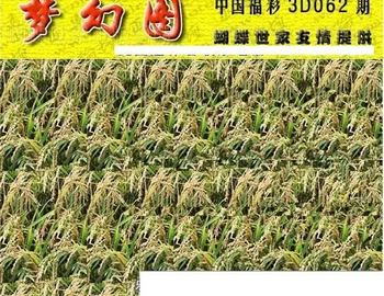 26062期: 3D蝴蝶世家蝴蝶彩图