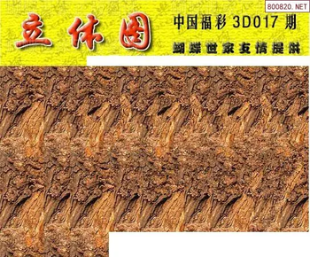 26017期: 3D蝴蝶世家蝴蝶彩图