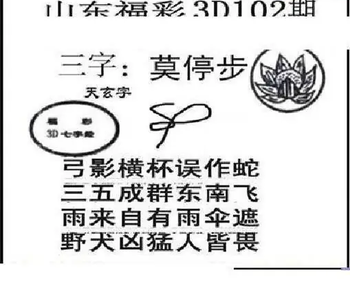 26102期: 三毛3D精品图谜