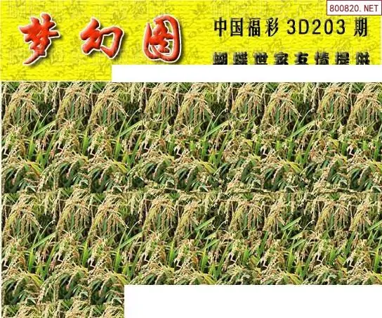 25203��: 3D�������Һ�����ͼ