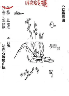26013期: 老村长福彩3D天天图谜