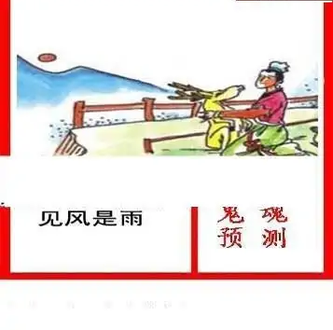 25339期: 白老3D杀码图版