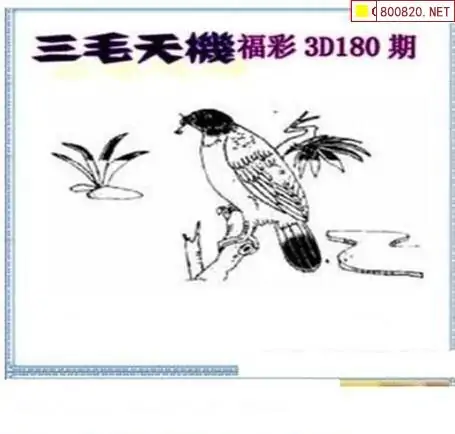 25180期: 三毛3D精品图谜