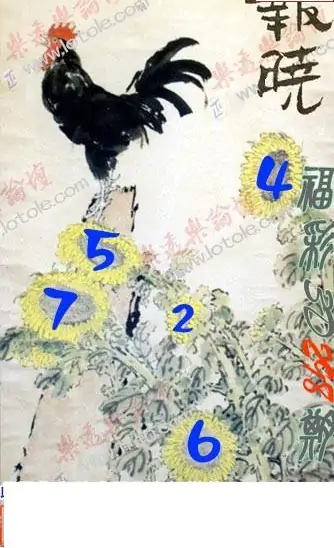 25298期: 3D蝴蝶世家蝴蝶彩图