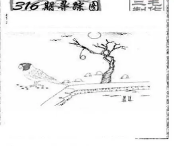 25316期: 三毛3D精品图谜