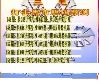 26057期: 三毛3D精品图谜