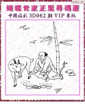 26062期: 3D蝴蝶世家蝴蝶彩图