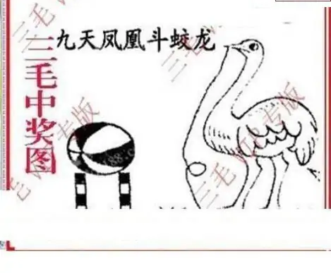 25095期: 三毛3D精品图谜