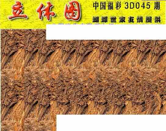 25045期: 3D蝴蝶世家蝴蝶彩图