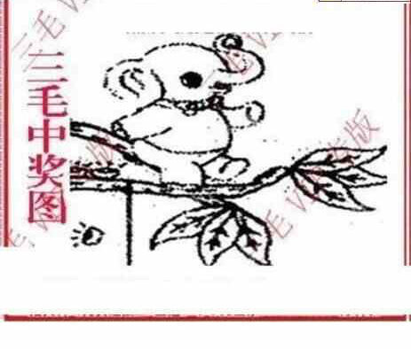 24094期: 三毛3D精品图谜