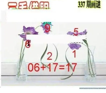 25337期: 三毛3D精品图谜