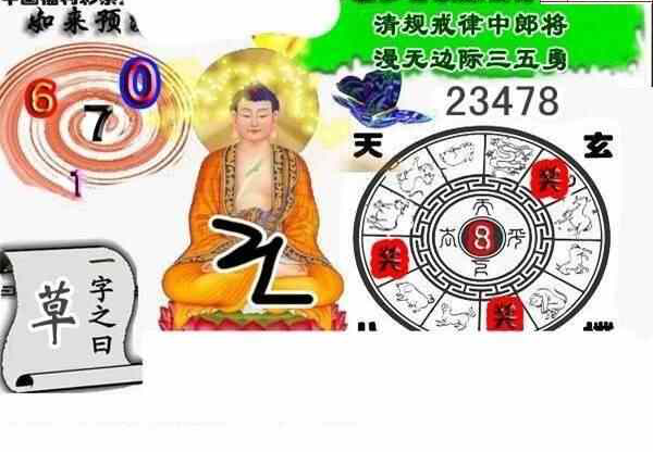 24071期: 白老3D杀码图版