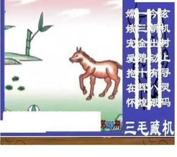 26093期: 三毛3D精品图谜