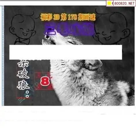 25178期: 三毛3D精品图谜