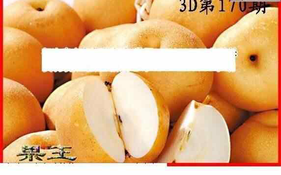 24170期: 白老3D杀码图版