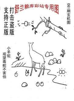 26061期: 老村长福彩3D天天图谜