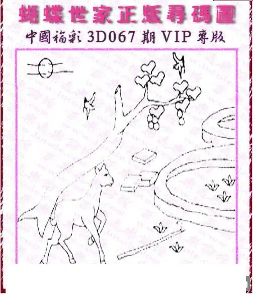 25067期: 3D蝴蝶世家蝴蝶彩图