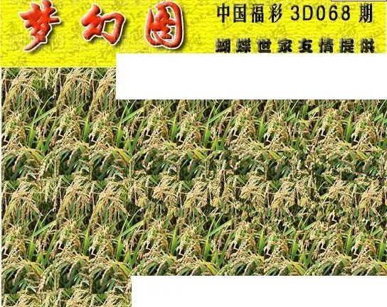 25068期: 3D蝴蝶世家蝴蝶彩图