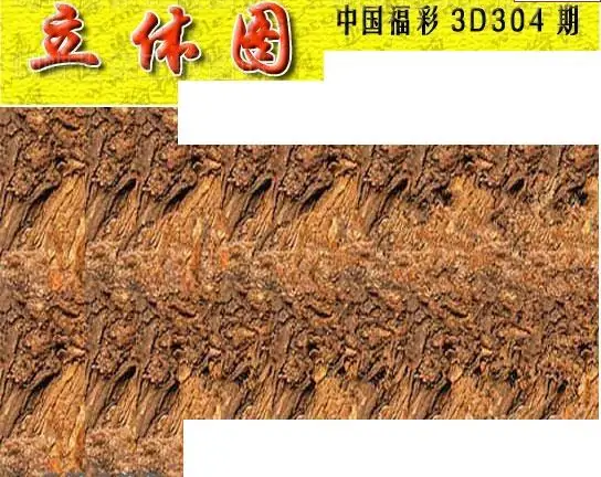 25304期: 3D蝴蝶世家蝴蝶彩图