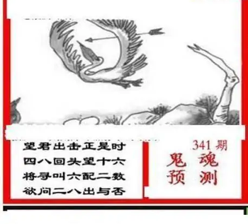 25341期: 三毛3D精品图谜