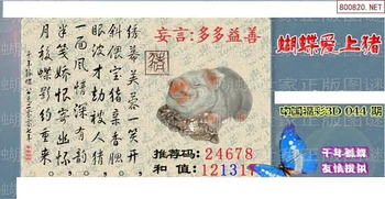 26044期: 3D蝴蝶世家蝴蝶彩图