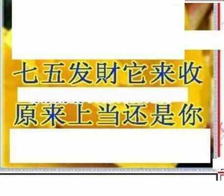 24099期: 三毛3D精品图谜