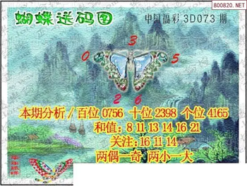 26073期: 3D蝴蝶世家蝴蝶彩图