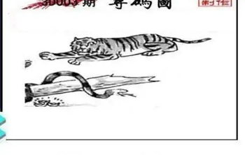 26003期: 三毛3D精品图谜