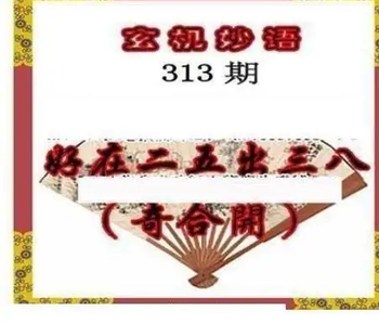 25313期: 三毛3D精品图谜