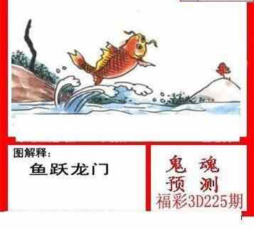 24225期: 白老3D杀码图版