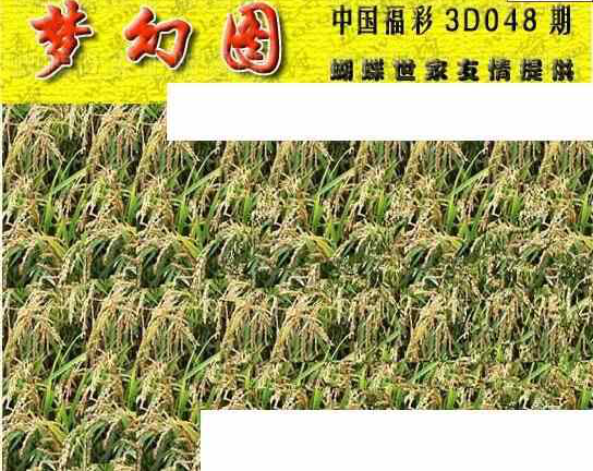 25048期: 3D蝴蝶世家蝴蝶彩图