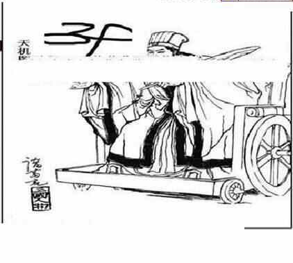 24100期: 三毛3D精品图谜