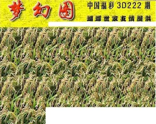 25222期: 3D蝴蝶世家蝴蝶彩图