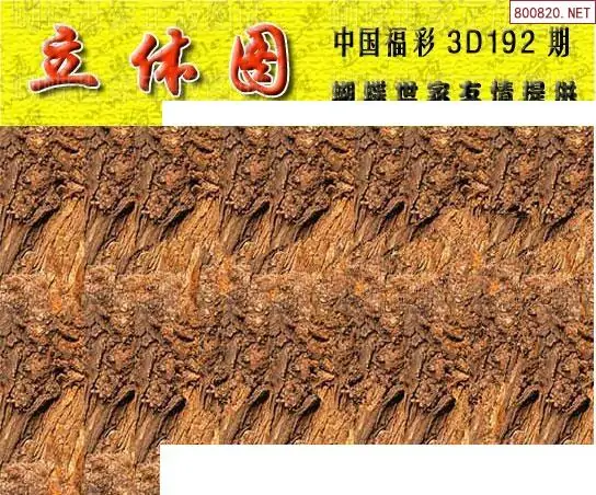 25192期: 3D蝴蝶世家蝴蝶彩图