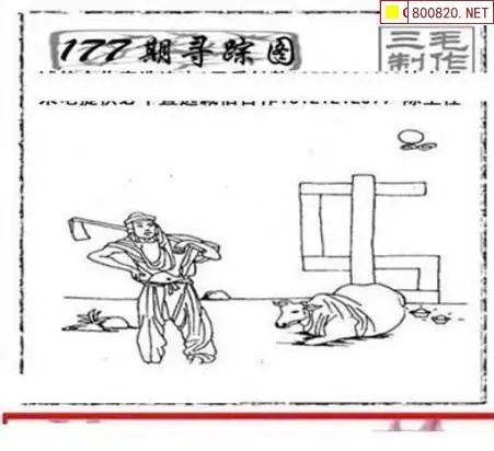 25177期: 三毛3D精品图谜