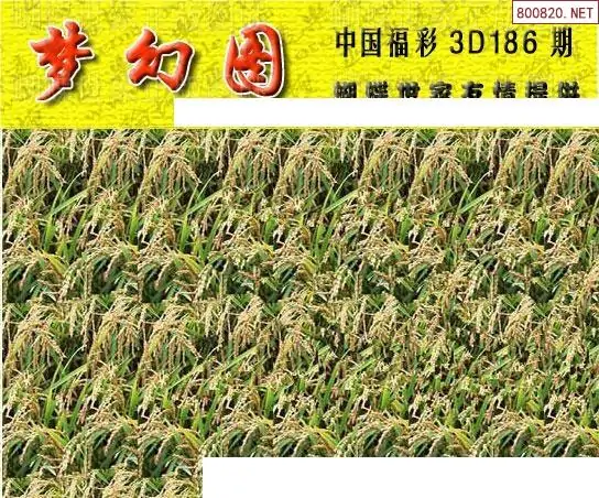 25186期: 3D蝴蝶世家蝴蝶彩图