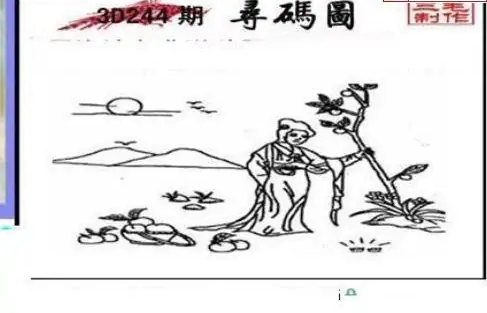 25244期: 三毛3D精品图谜