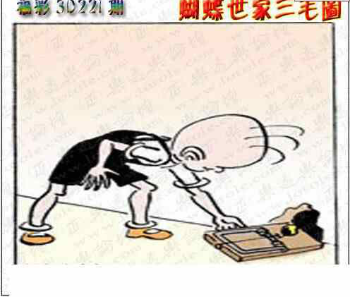 24221期: 3D蝴蝶世家蝴蝶彩图