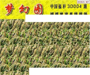 26004期: 3D蝴蝶世家蝴蝶彩图