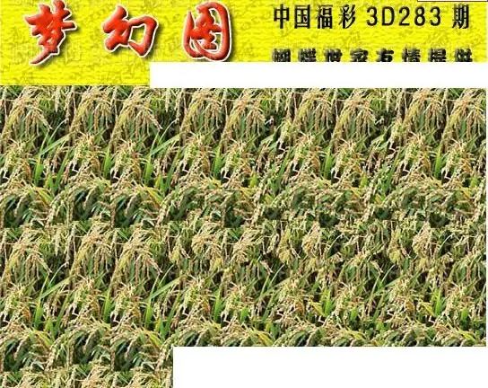 25283期: 3D蝴蝶世家蝴蝶彩图