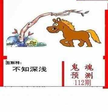 24112期: 白老3D杀码图版