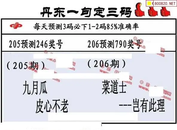 25206期: 福彩3D丹东全图分析