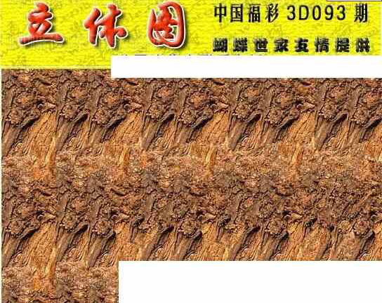 24093期: 3D蝴蝶世家蝴蝶彩图