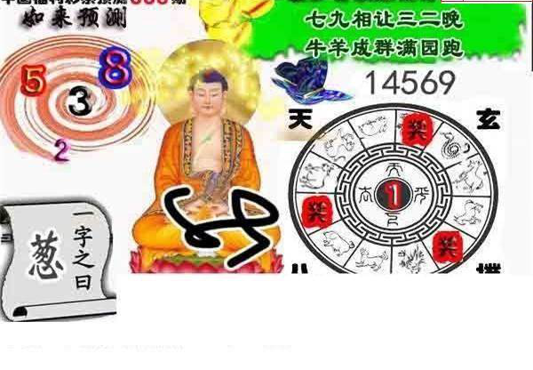 24306��: ����3Dɱ��ͼ��