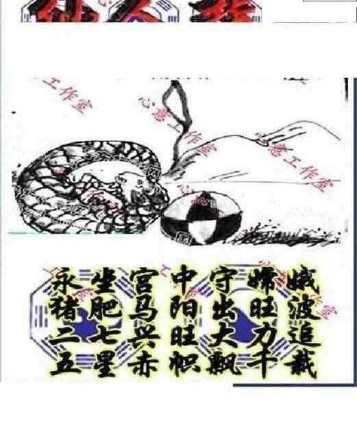 24124期: 三毛3D精品图谜