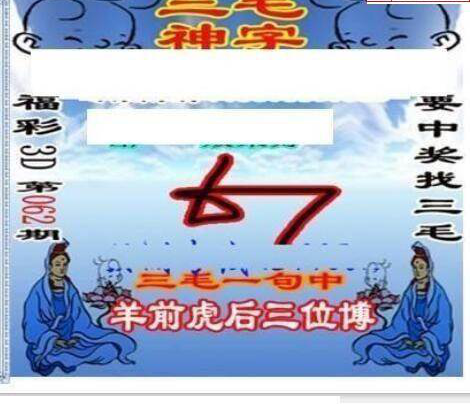 25062期: 三毛3D精品图谜