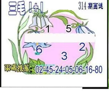 25314期: 三毛3D精品图谜