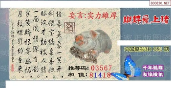 26081期: 3D蝴蝶世家蝴蝶彩图