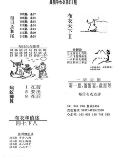 25313期: 福彩3D全套图版参考