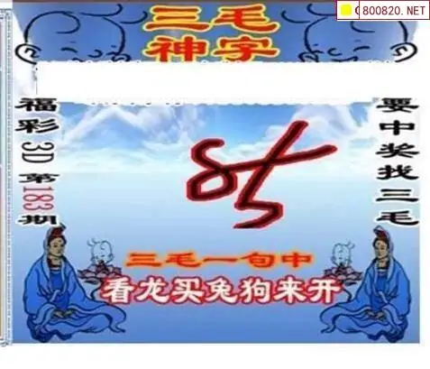 25183期: 三毛3D精品图谜